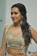 Catherine Tresa At Goutham Nanda Movie Success Meet